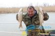 Рыболовная база «Глаголь»